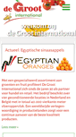 Mobile Screenshot of degrootinternational.nl