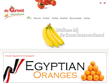 Tablet Screenshot of degrootinternational.nl